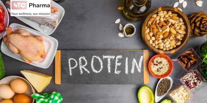 Các thực phẩm chứa protein