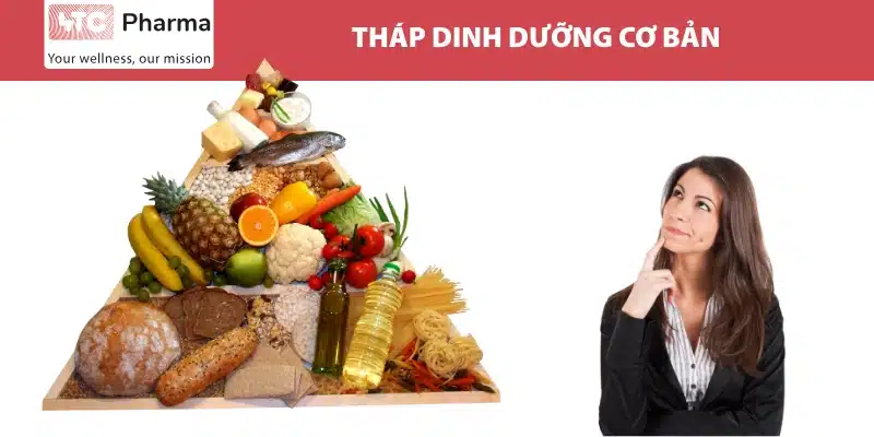 Tháp dinh dưỡng cơ bản